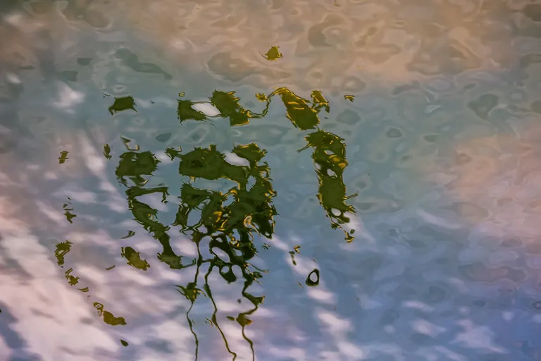 Tuschschrift auf dem Wasser