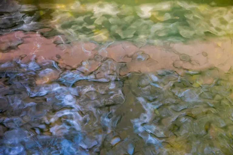 Herbst unter Wasser