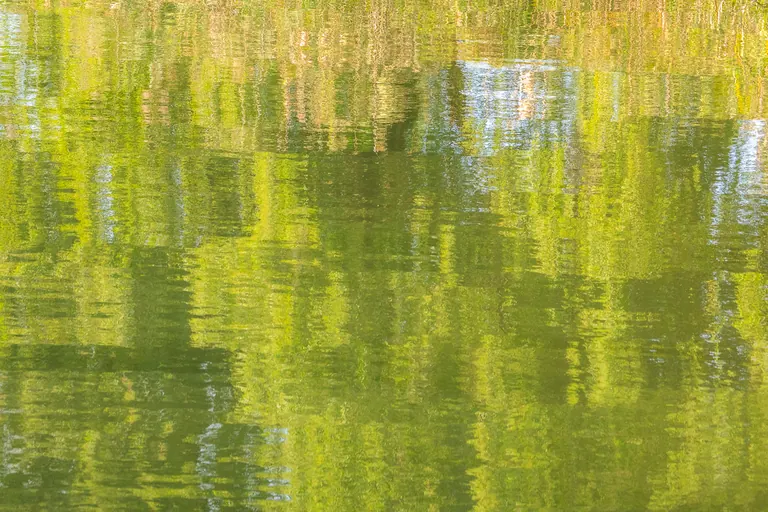 Oktobergrün