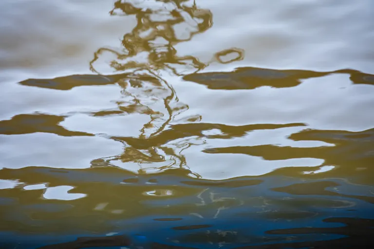 Tanz auf dem Wasser