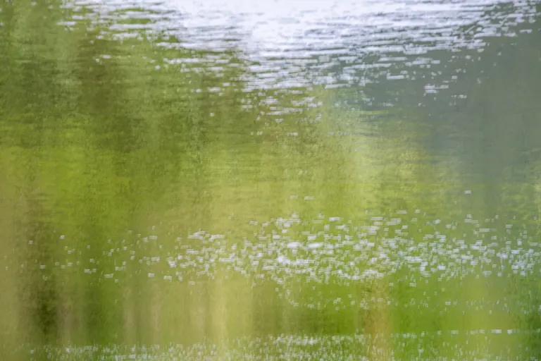 Frühsommer am See