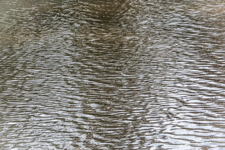 Spätherbstwellen