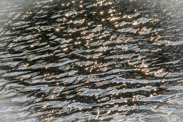 Sterne auf dem Wasser