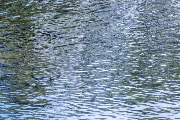 Stille Wasserfläche