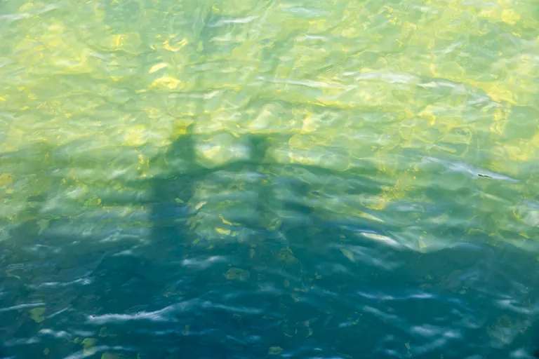 Zwei Schatten auf dem Wasser
