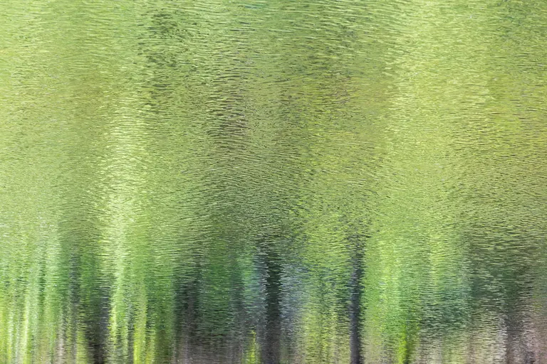 Maiwald