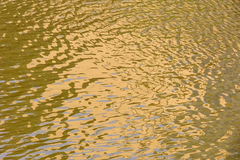 Goldene Wellen