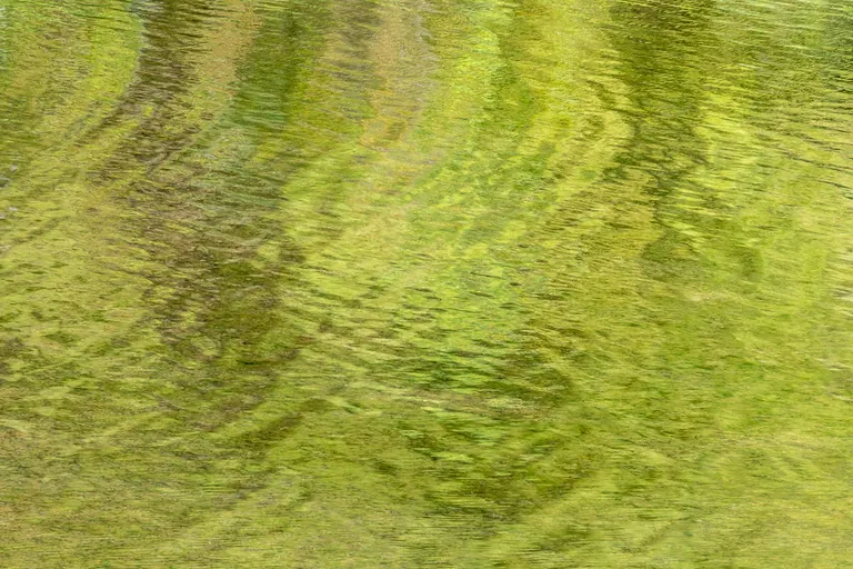 Hellgrünes Wassermuster