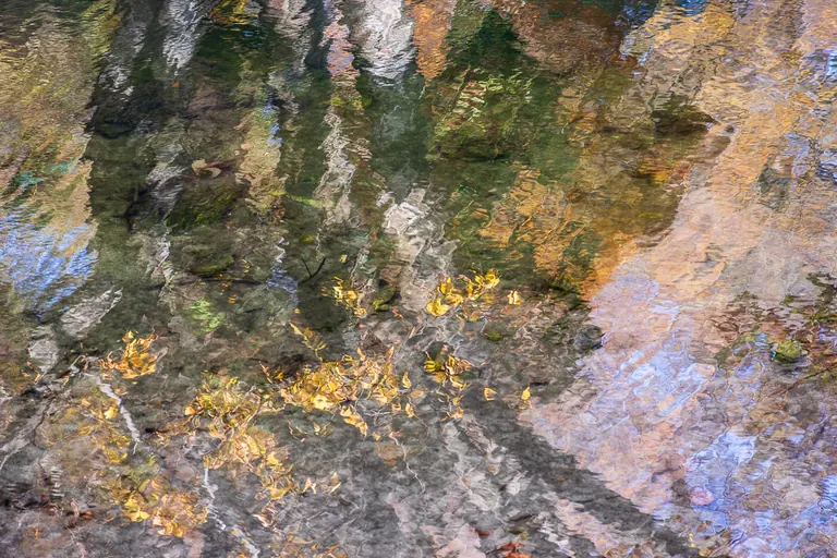 Gefallenes Laub auf dem Wasser