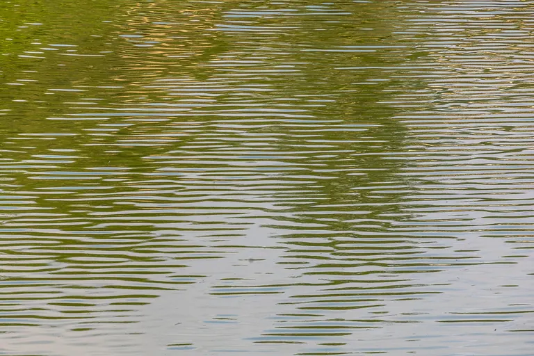 Spätsommerwellen
