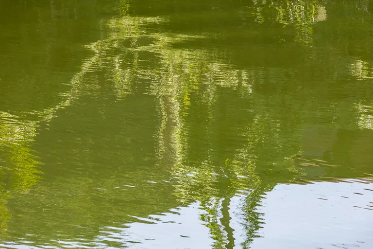 Grüne Wasserskizze