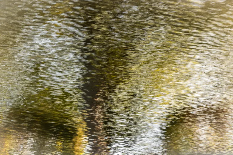 Ein Herbstbaum