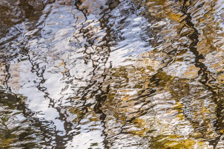 Herbstzweige