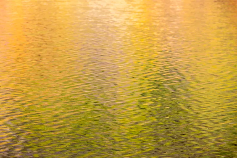 Herbstliches Abendglühen