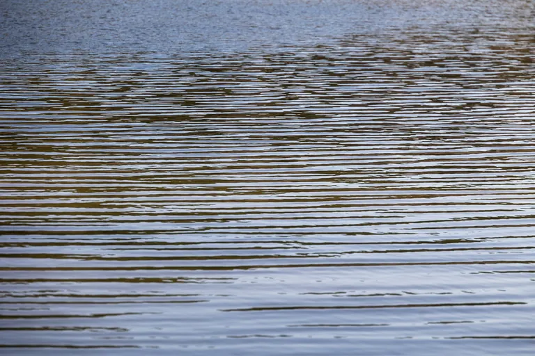 Notenlinien des Wassers