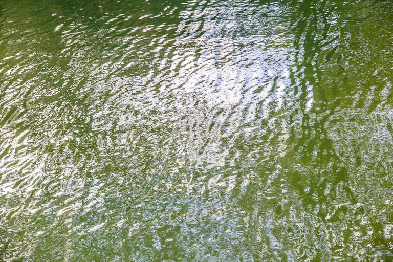 Sonnenbeschienenes Wasser