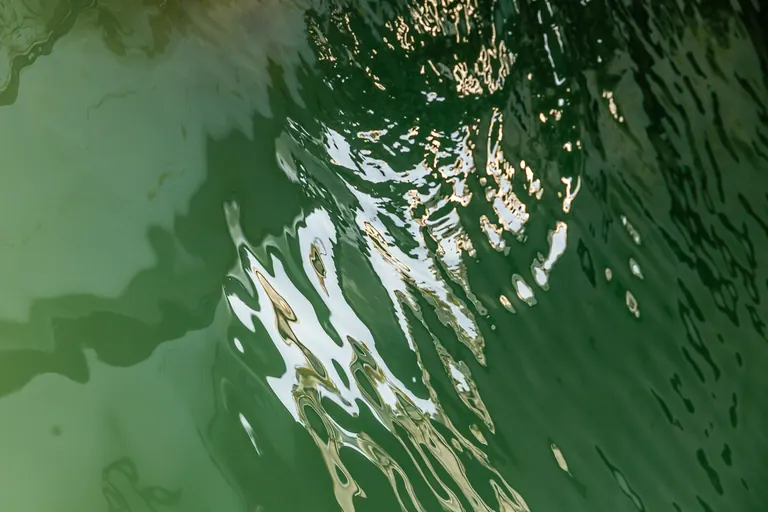Weißes Licht im grünen Wasser
