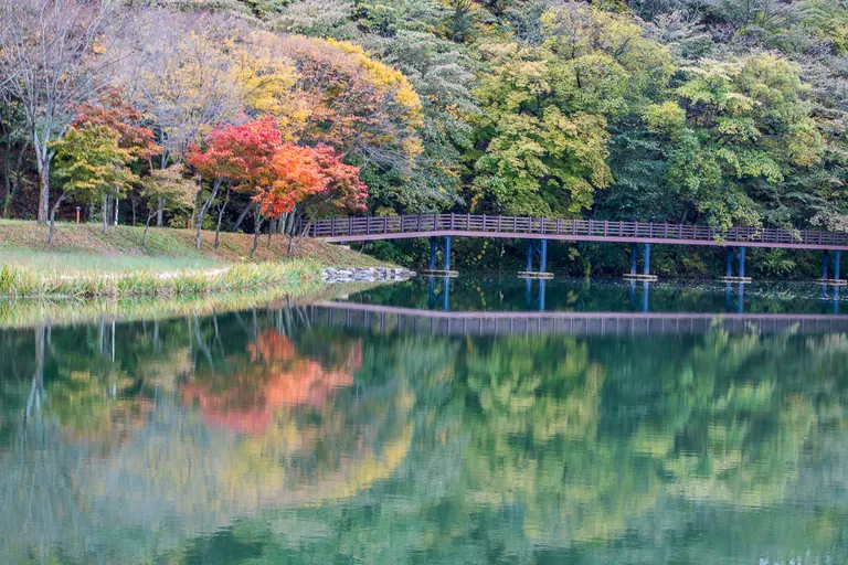 단풍 든 연못