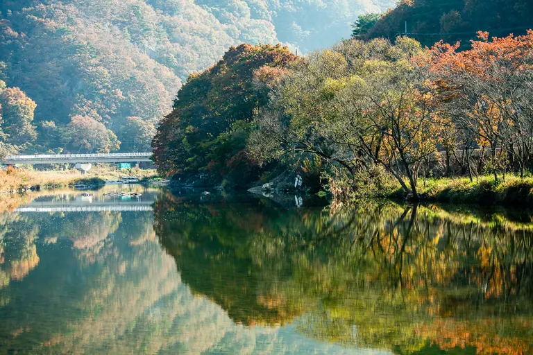 가을 강의 섬