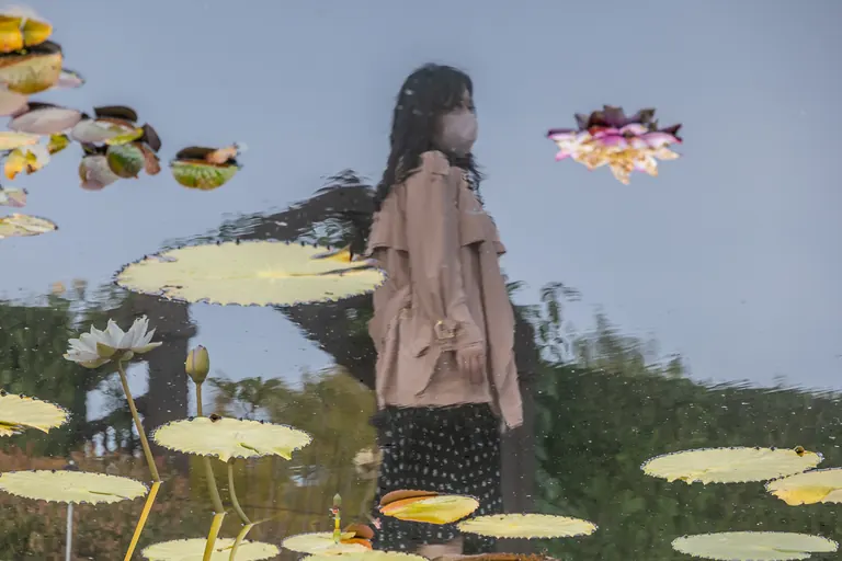 수련 연못에 비친 사람