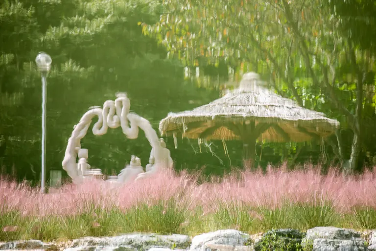 핑크뮬리와 초가 정자